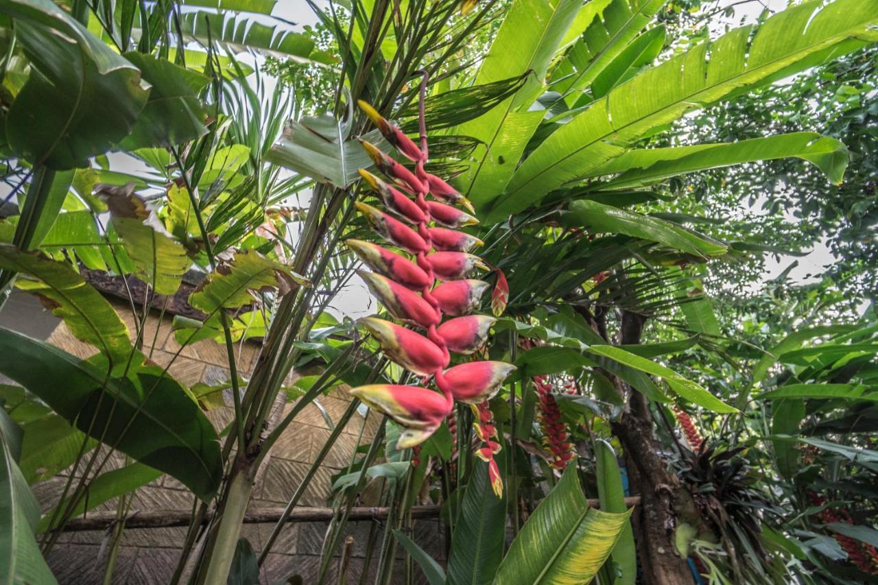 Tegar Guest House Ubud Eksteriør billede