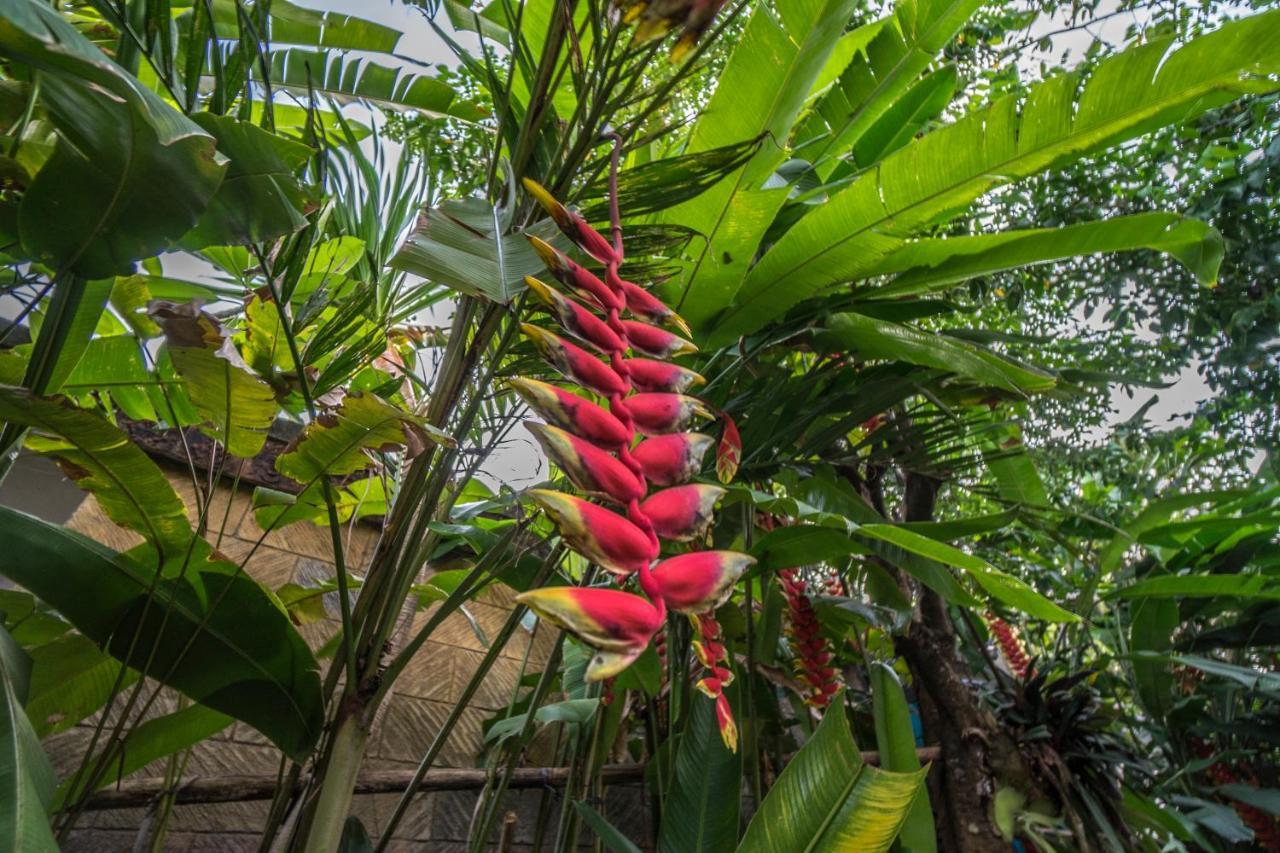 Tegar Guest House Ubud Eksteriør billede